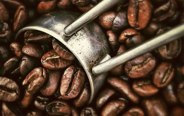 The Art of Coffee Roasting: A Time-Honored Tradition