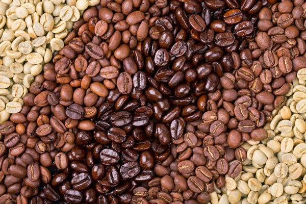 The Journey of Coffee: From Ancient Ritual to Modern Cup
